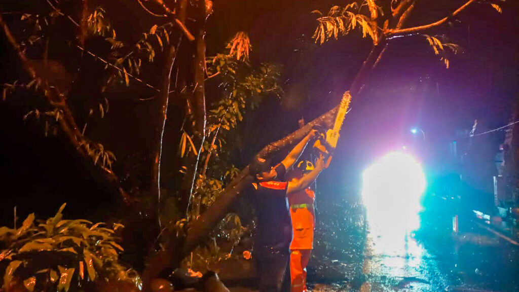 Respons Cepat Damkar Kota Mojokerto Evakuasi Pohon Tumbang di Jalan Gunung Gedangan