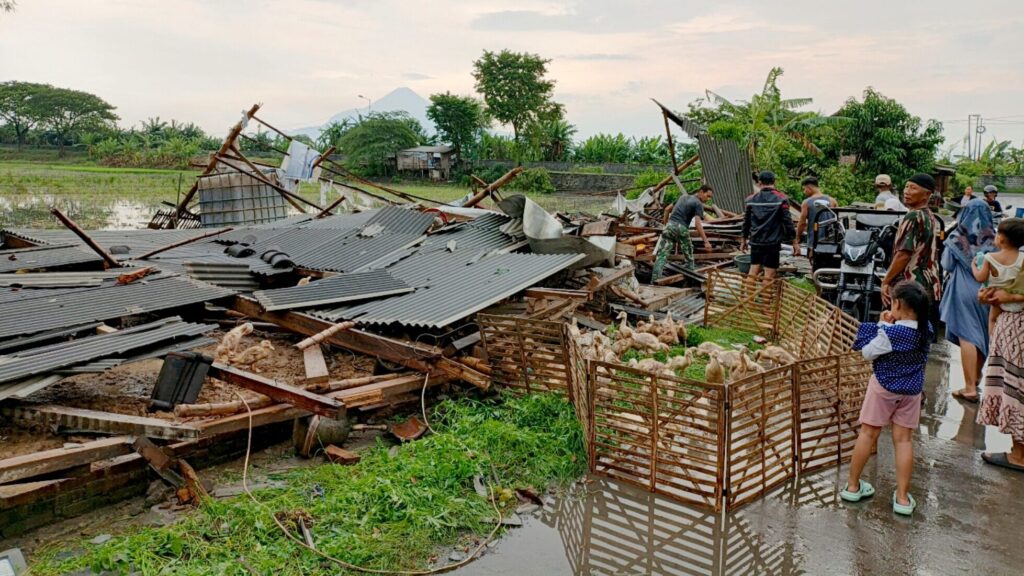 Hujan Disertai Angin Kencang Terjang Mojosari, Atap Rumah dan Kandang Bebek Warga Hancur