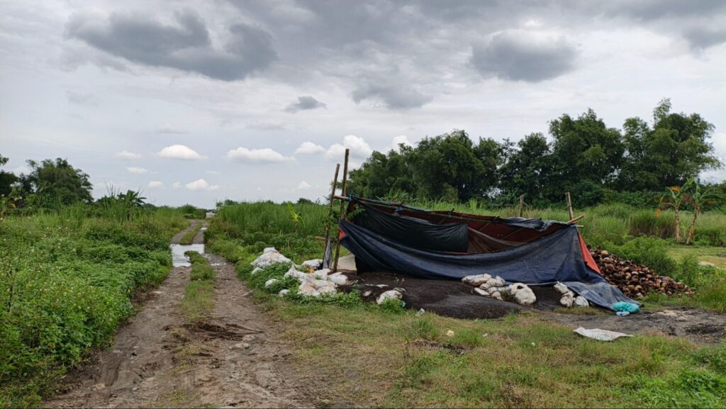 Bekas Galian C Jadi Tempat Pembuangan Kotoran Ayam, DLH Mojokerto Turun Tangan