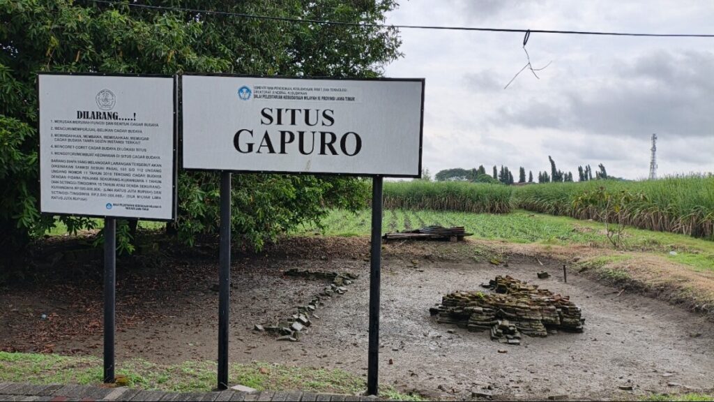 Dari Sawah Warga ke Situs Bersejarah, Kisah Penemuan Situs Gapuro